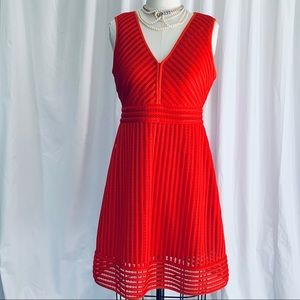 JCrew Lace A-Line Orange-Red Dress 8
